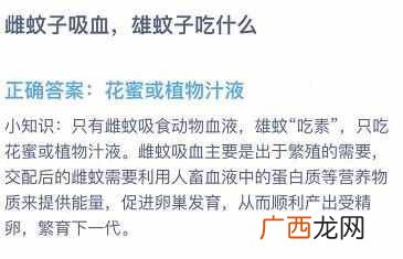 雌蚊子吸血雄蚊子吃什么？蚂蚁庄园2020年9月13日答案
