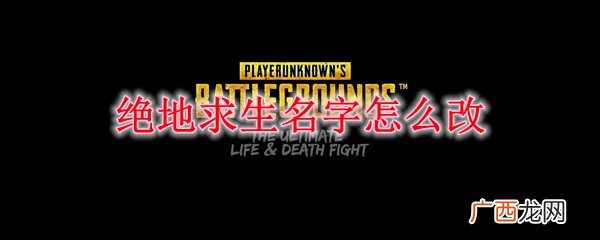 绝地求生名字更改方法