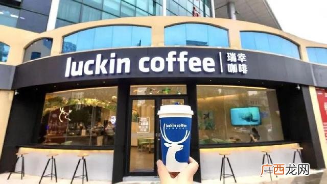 喜茶为什么不接受加盟,茶野奶茶加盟费多少