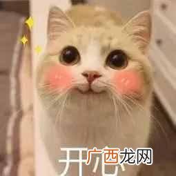 武汉公租房申请条件与购买政策（公租房最新政