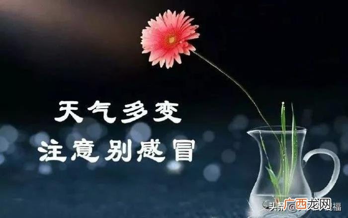 天气冷了的关心短信祝福语 天冷关心短信