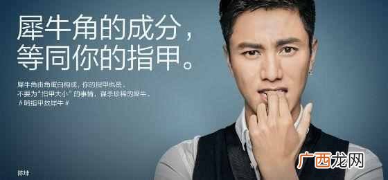 犀牛角的药用价值（药用案例、药用功效与禁忌