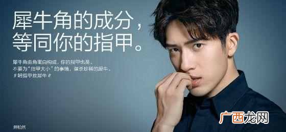 犀牛角的药用价值（药用案例、药用功效与禁忌