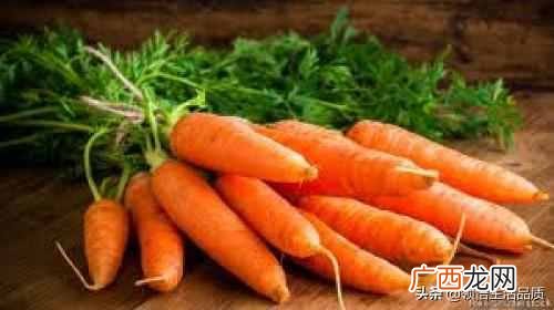 10种食物富含胶原蛋白 补充胶原蛋白的方法
