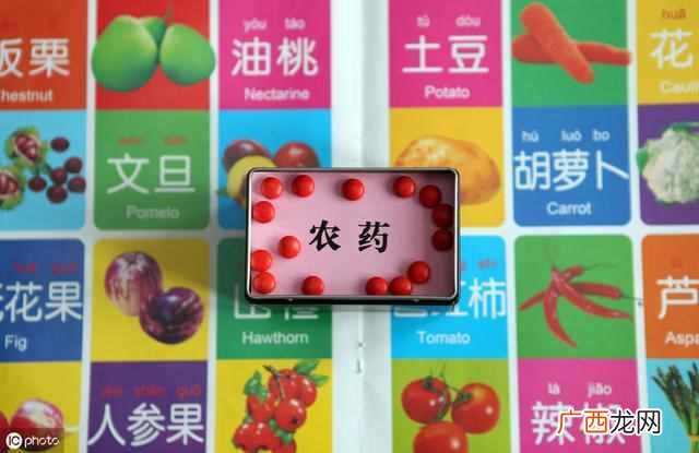 港口查询和代码 中国有哪些海运港口