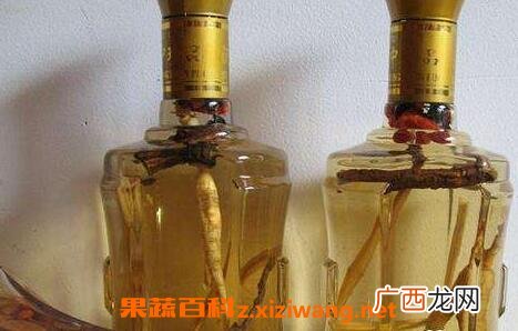 人参鹿茸酒的功效与作用