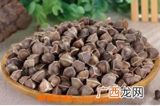中药辣木籽的作用与功效