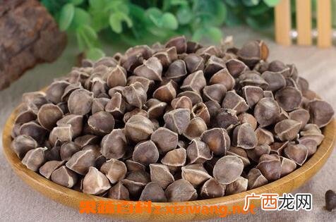 中药辣木籽的作用与功效