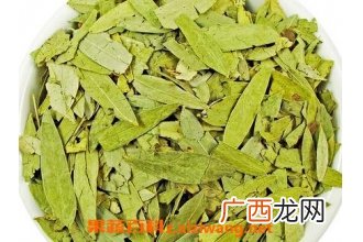 番泻叶的药用价值与功效