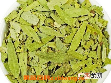 番泻叶的药用价值与功效