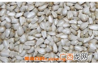 红花籽的功效与作用 红花籽的药用价值