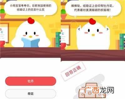 目前我国使用的结婚证上的花是什么花？蚂蚁庄园9月16日答案汇总