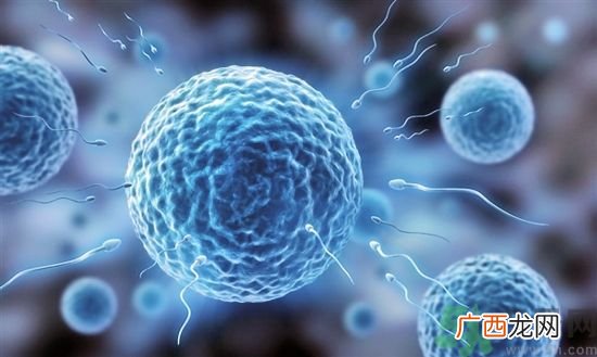 真的有人造精子吗?女人怀孕不在需要男性精子