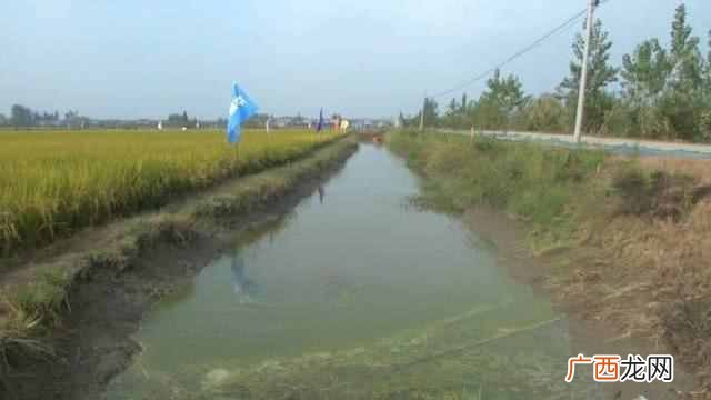 养殖基地地址 湖北龙虾养殖产量如何