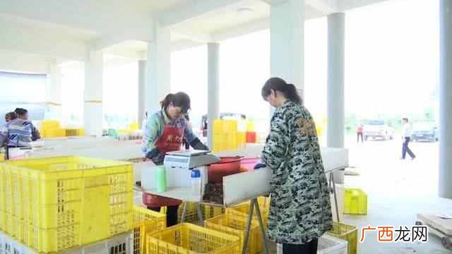 养殖基地地址 湖北龙虾养殖产量如何