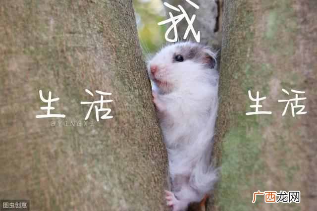 网络安全工程师待遇、就业前景（网络安全工程