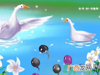 怀孕前一定要做检查吗？哪些人群必须要进行孕前检查？