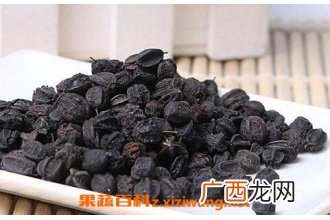 刺五加籽的药用价值与功效