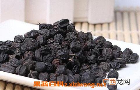 刺五加籽的药用价值与功效