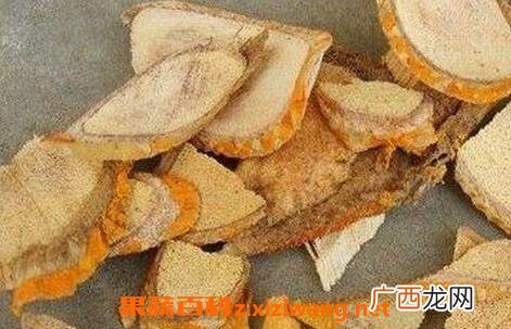 中药九层皮的功效 九层皮的药用价值