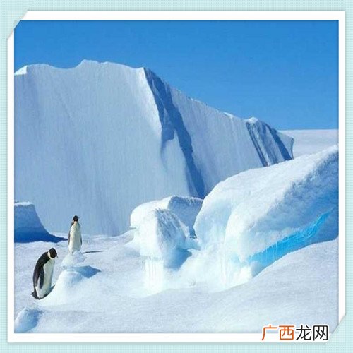 牙齿做瓷贴面多少钱 牙齿做全瓷贴面好不好