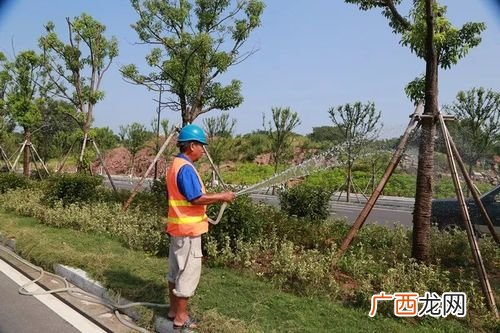 园林绿化公司简介模板 公司园林绿化建设