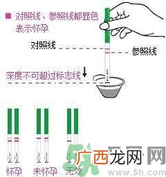 怎么测是否怀孕？早孕试纸怎么用？