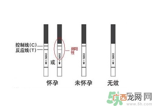 怎么测是否怀孕？早孕试纸怎么用？