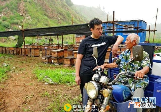 蜜蜂商城app是不是骗局 养殖蜜蜂是不是骗局