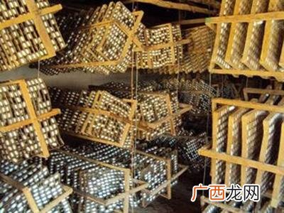 人工养殖蚂蚱 养殖爬蚱去哪学技术