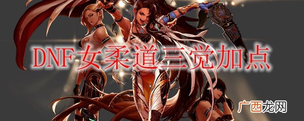 DNF女柔道三觉加点攻略