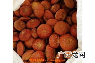 壮阳果泡水要不要敲碎 壮阳果怎么泡水喝