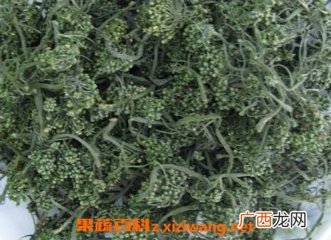 西洋参花的功效 吃西洋参花的好处