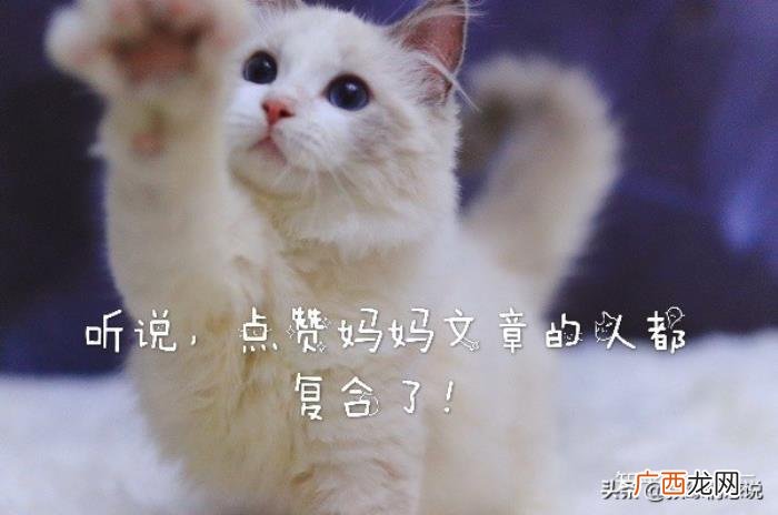 男友和前女友会复合吗，男生和前女友分手很久