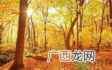 秋季幼儿如何预防感冒？秋季幼儿感冒怎么办？