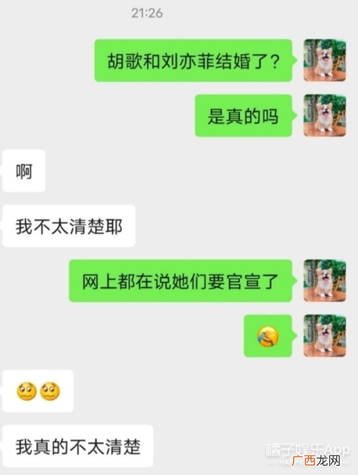 胡歌追过刘亦菲吗，网友神脑补胡歌刘亦菲恩爱糖点