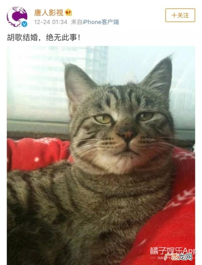 胡歌追过刘亦菲吗，网友神脑补胡歌刘亦菲恩爱糖点