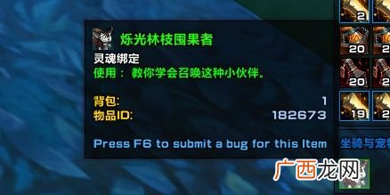 魔兽世界9.0新增松鼠小宠物烁光林枝囤果者获得方式