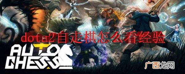 dota2自走棋查看经验方法