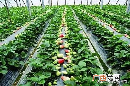 创新创业项目点子 投资创业项目