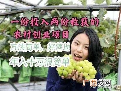 创新创业项目点子 投资创业项目
