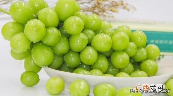 创新创业项目点子 投资创业项目
