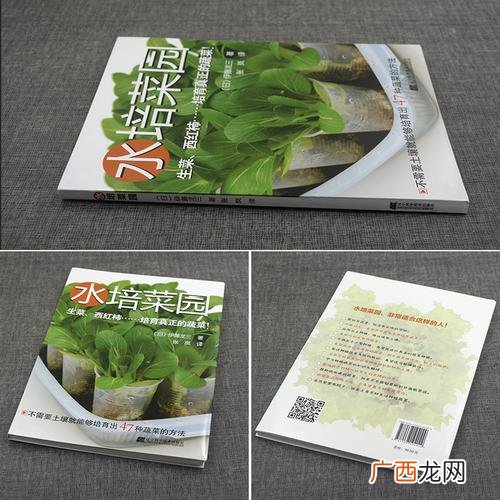 新型农业技术有哪些 种植新技术