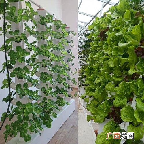 新型农业技术有哪些 种植新技术