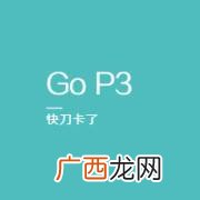 鲻鱼怎么烧 珠海黄尾鲻鱼混养技术
