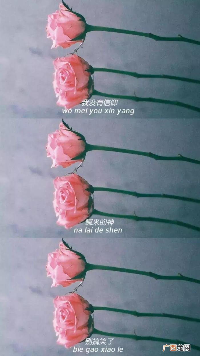 今天的三连壁纸是带字的哟 好看图片带字
