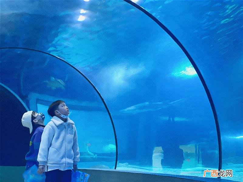 上海儿童十大好玩地方,室内儿童游乐园品牌排行榜