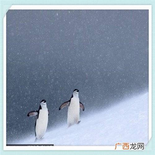 二克山上的长仙洞 克东二克山