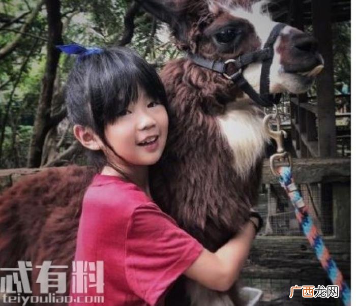 曹格女儿GRACE近照曝光 曹格女儿叫什么