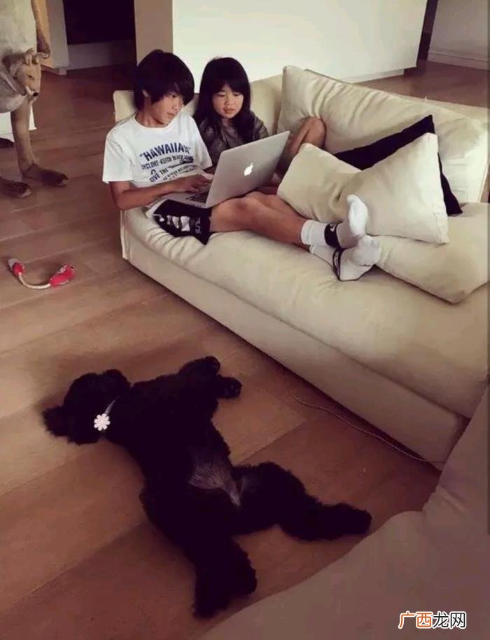 曹格女儿暴风式长大 曹格女儿儿子